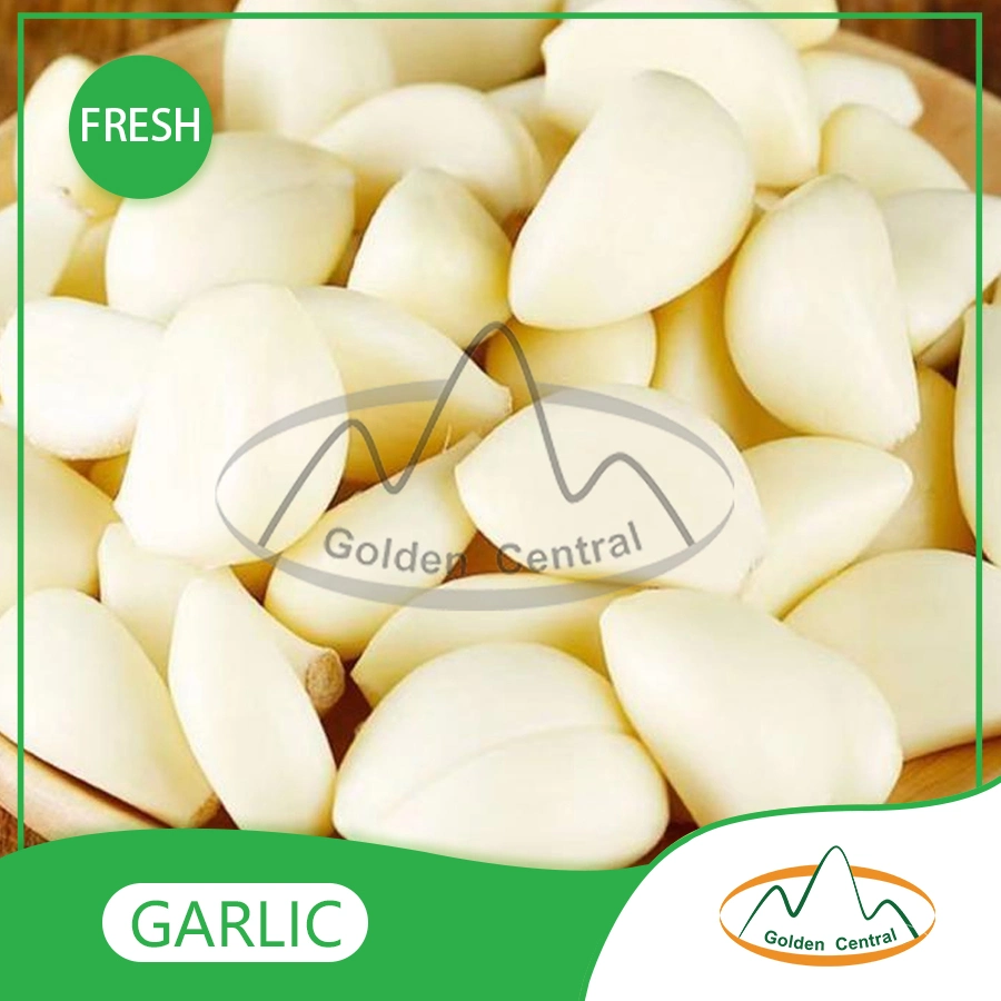 Wholesale/Supplier Export Fresh High quality/High cost performance  Peeled Garlic