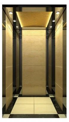 Golden Passenger Home House Villa Panoramic Building Elevator Home Lift