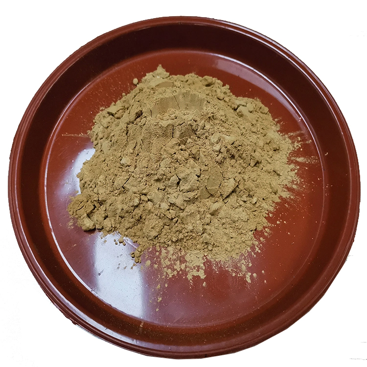 High Quality 100% Natural Fadogia Extract Fadogia Agrestis Scm Powder Fadogia Agrestis استخراج