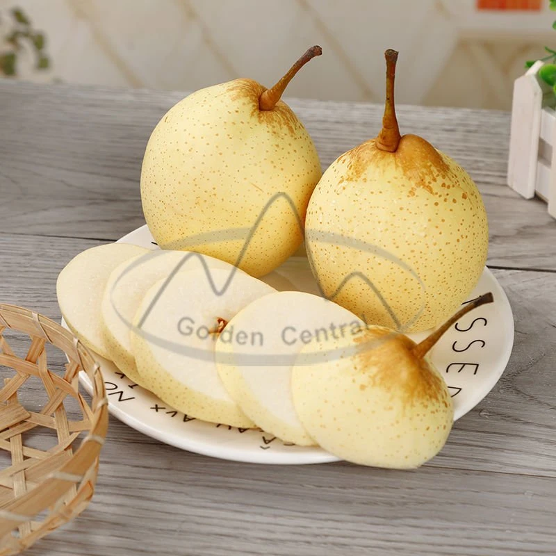 Factory Offer Sweet Fresh Fruit Ya Pears Gold Pears with Competitive Price