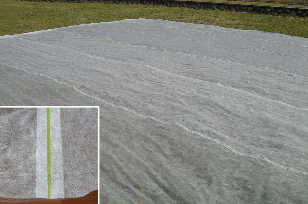 36m Width Agriculture PP Spunbond Nonwoven Fabric with UV Treated for Plant Cover