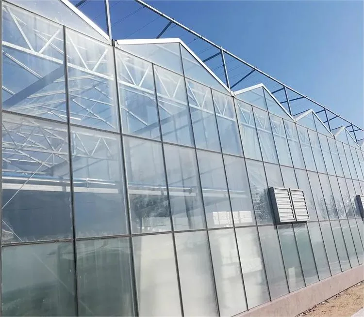 Vegetable Planting Commercial PC Polycarbonate Panel Solar Greenhouse