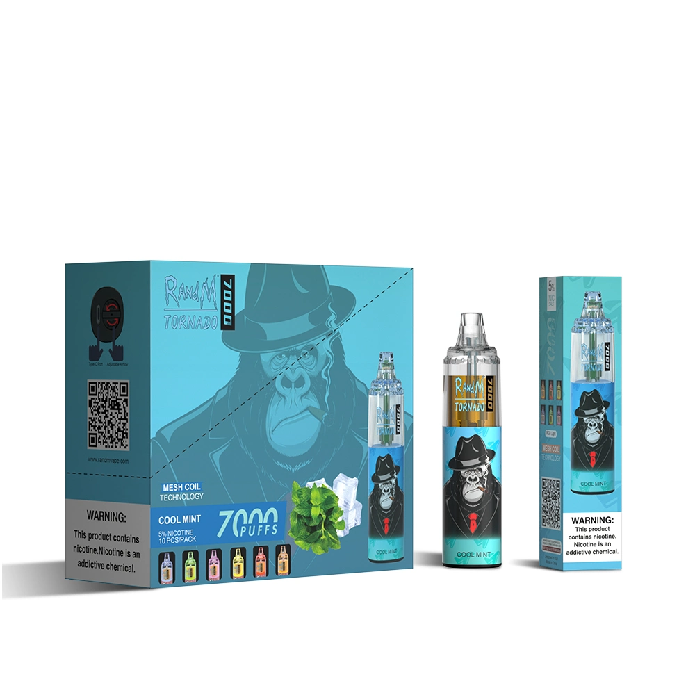 Big Puffs 5% Nicotine Disposable/Chargeable Vape Electronic Cigarette Randm Tornado 7000 Puffs Lux Design