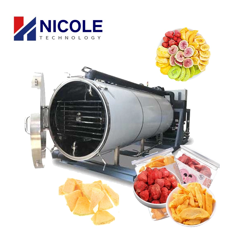 380V Good Quality Fruit Dehydration Porous Effect Strawberry Vacuum Freeze Drying Equipment