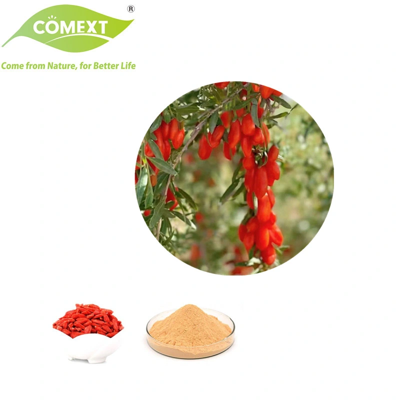 Comext Bulk Improve Immunity Reduce Blood Sugar Wolfberry Fruit Natural Freeze Dried Lycium Goji Berry Extract