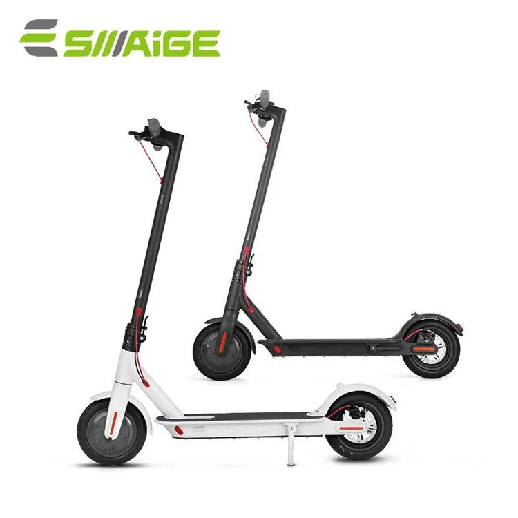 Scooter électrique 10 pouces 250W 36V 6ah adulte Skate électrique Carte