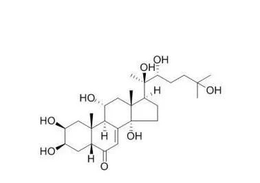 Certificação ISO Turkesterone 2% 10% tapete Bugle extracto Turkesterone pó