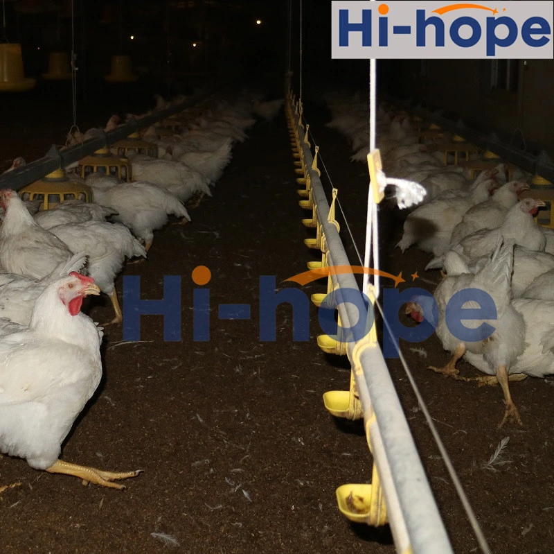 Hi-Hope Nipple Automatic Chicken Farm Drinking System