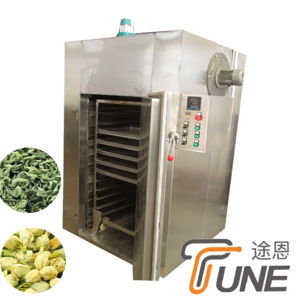 Continuous Fruit Vegetable Belt Drying Machine