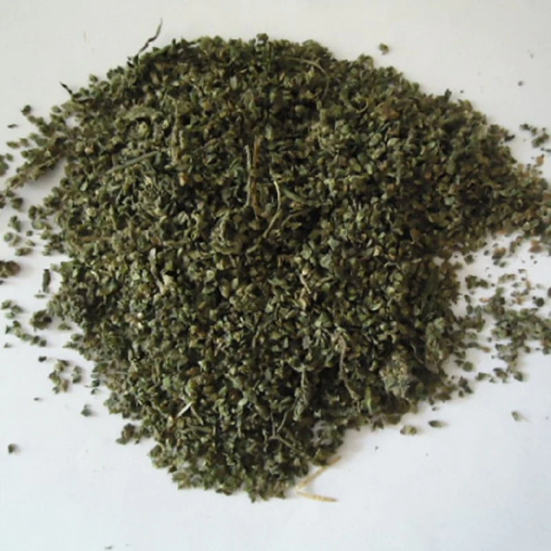 Qian Ma Zi Xinjiang Origin Urtica Cannabina Seeds