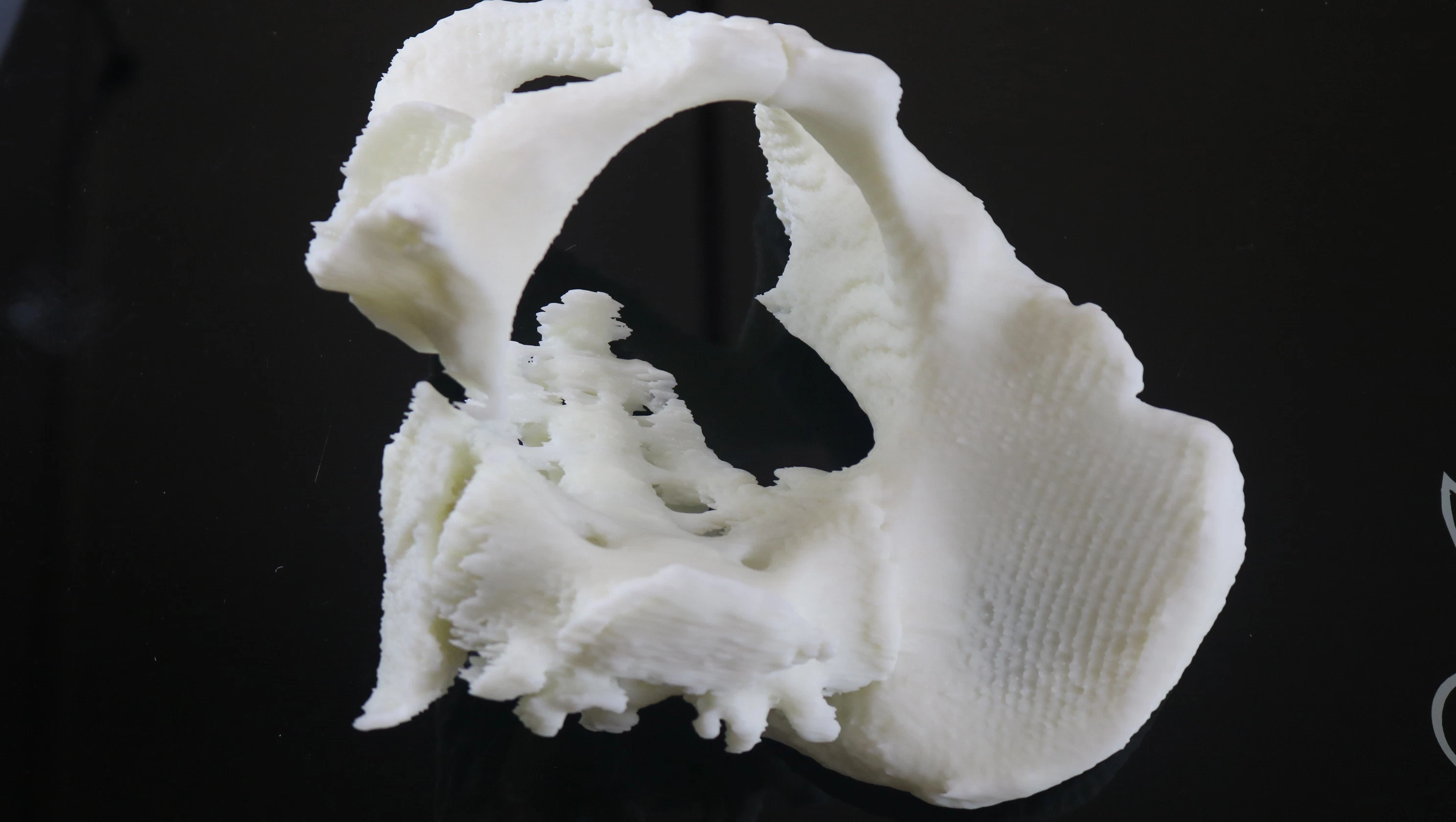 High quality/High cost performance  SLA Resin 3D Printing Service for Zygomatic Model