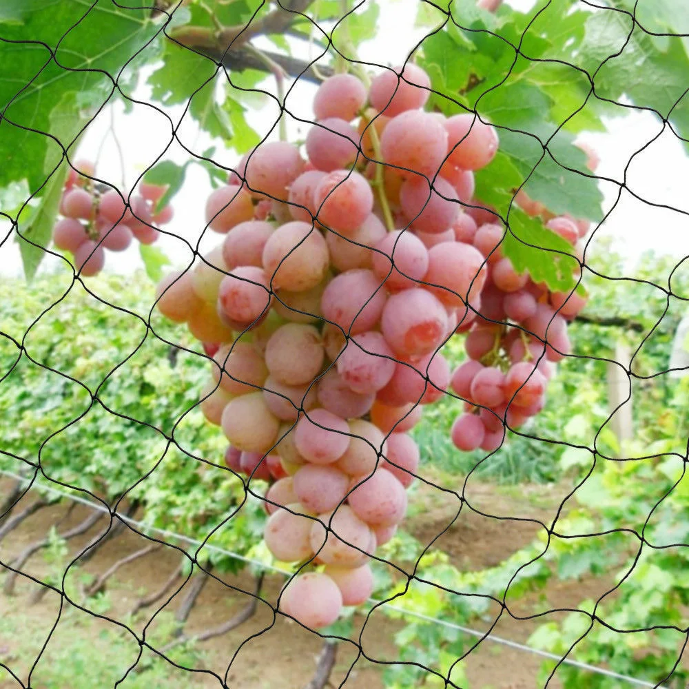 Garden Net Agricultural Vineyard Plastic Wire Mesh