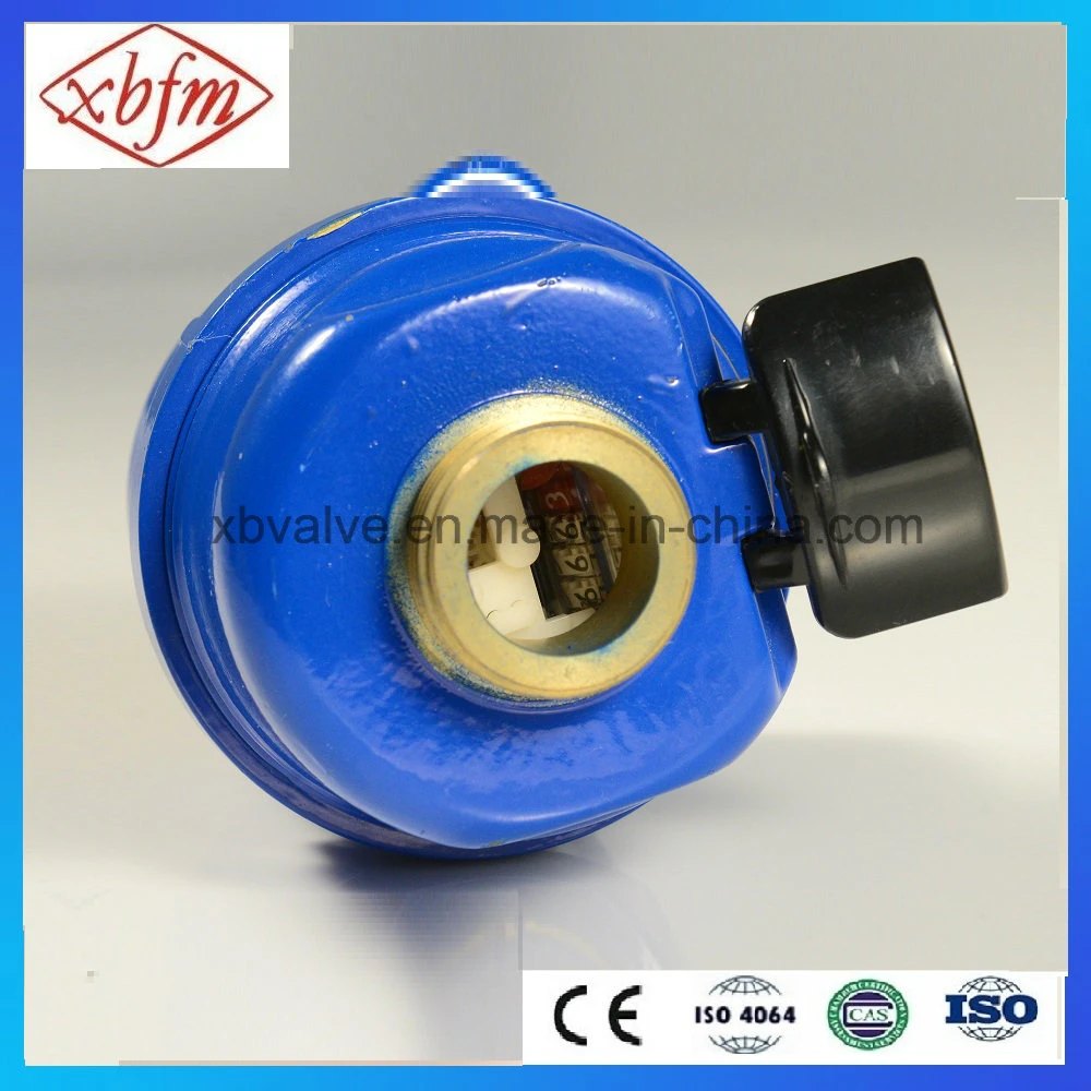 Volumetric Rotary Piston Water Meter with Brass Body (LXH-25)