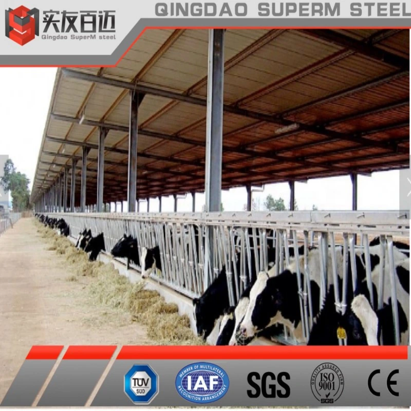 Low Price Steel Structure Pre Farm for Sheep Farming House