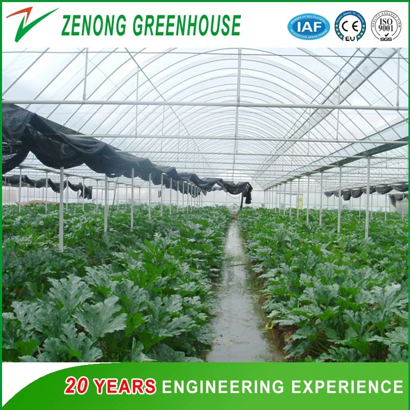 Poly-Tunnel Plastic Film Greenhouse with Ventilation Equipment