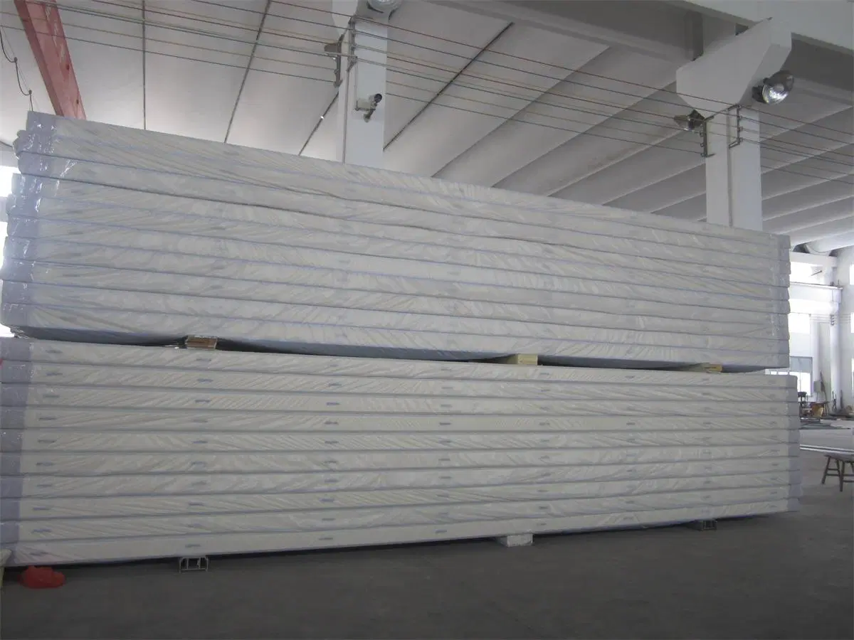 Cold Room for Sale Refrigerated Storage by PU Panel Assembled as Wall and Roof on Cold Storage Room