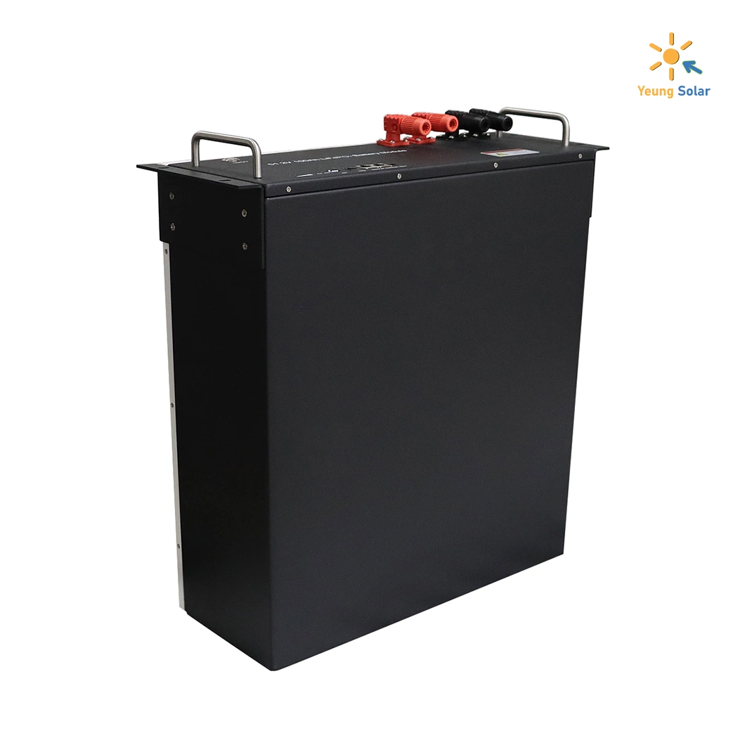 LFP LFPO4 Ess Energy Storage Lithium Ion Battery الطاقة الشمسية 24 فولت 48 فولت 51.2 فولت 50ah 100ah 150ah 200ah مع CE، UN 38.3