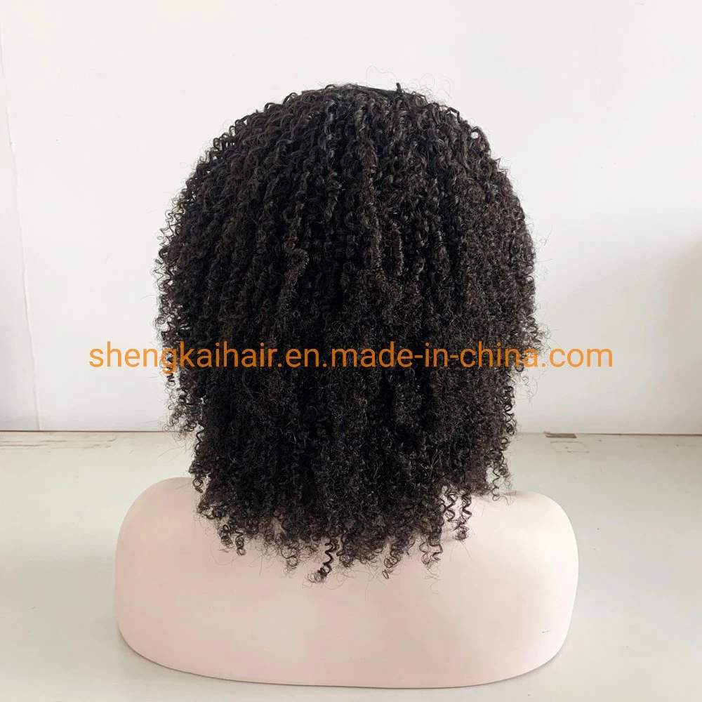 Wholesale/Supplier Lace Front Afro Curly Kinky Human Hair Women Wigs