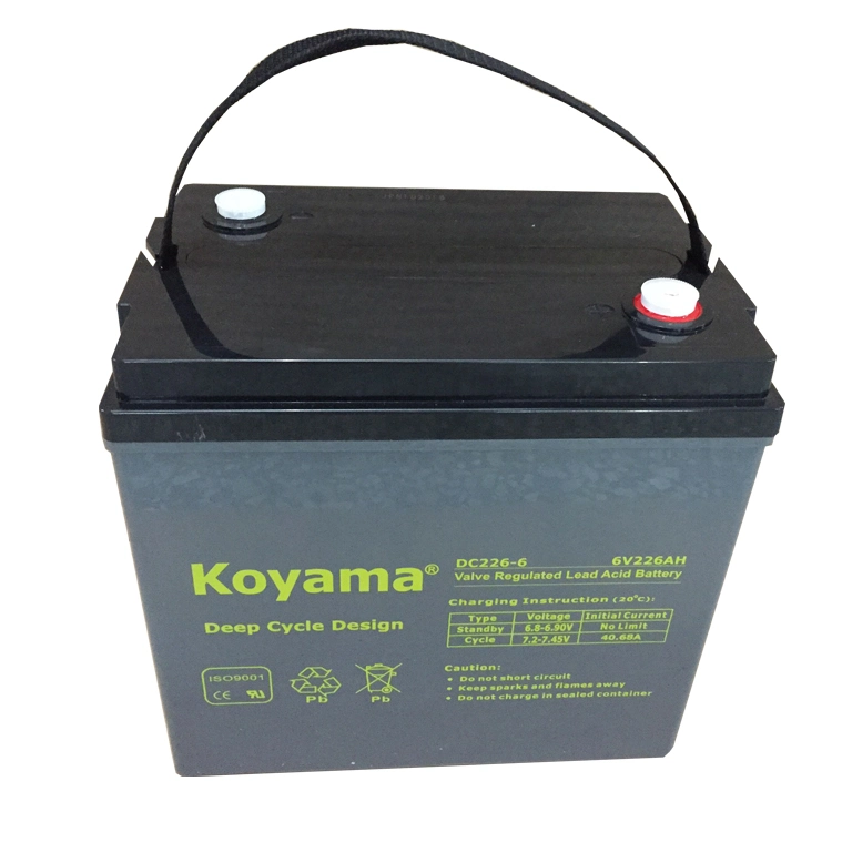 Trojan Quality 6V226ah Rechargeable Deep Cycle Batteries DC226-6 for EV/Golf Cart