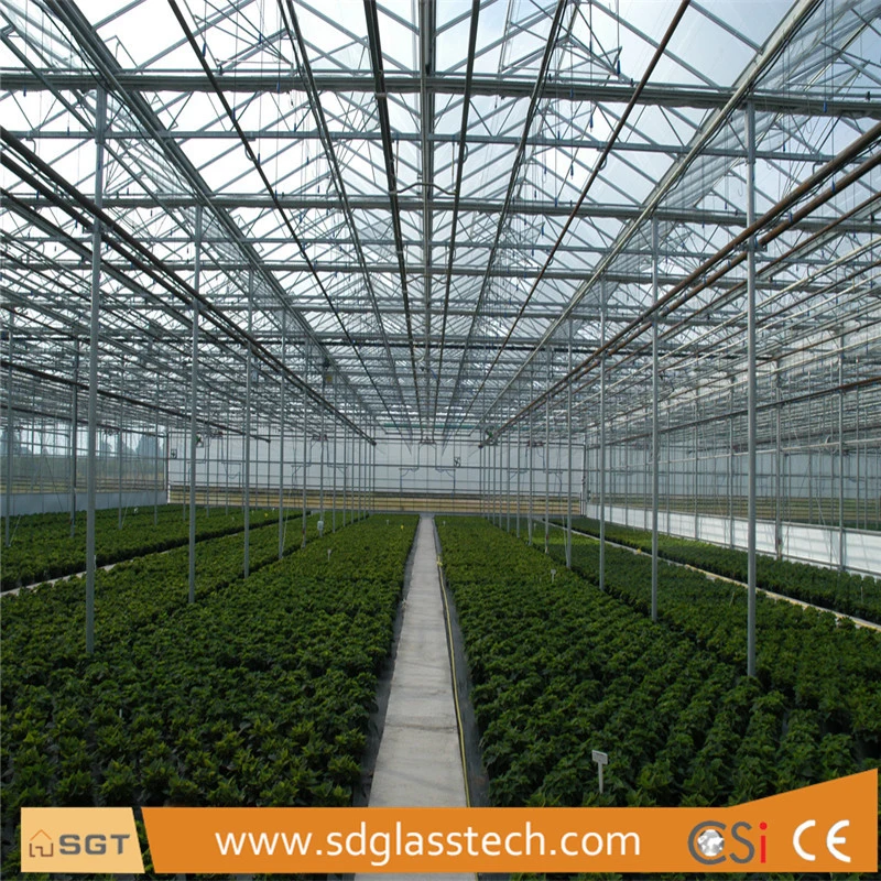 4mm Toughened White Painted Tempered Greenhouse Glass for Horticulture