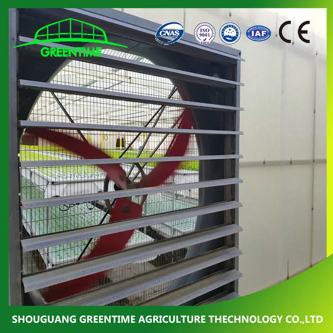 Round Type Polycarbonate Plastic PC Greenhouse for Vegetables/Flowers/Tomato/Cucumber Cultivation with Cooling System