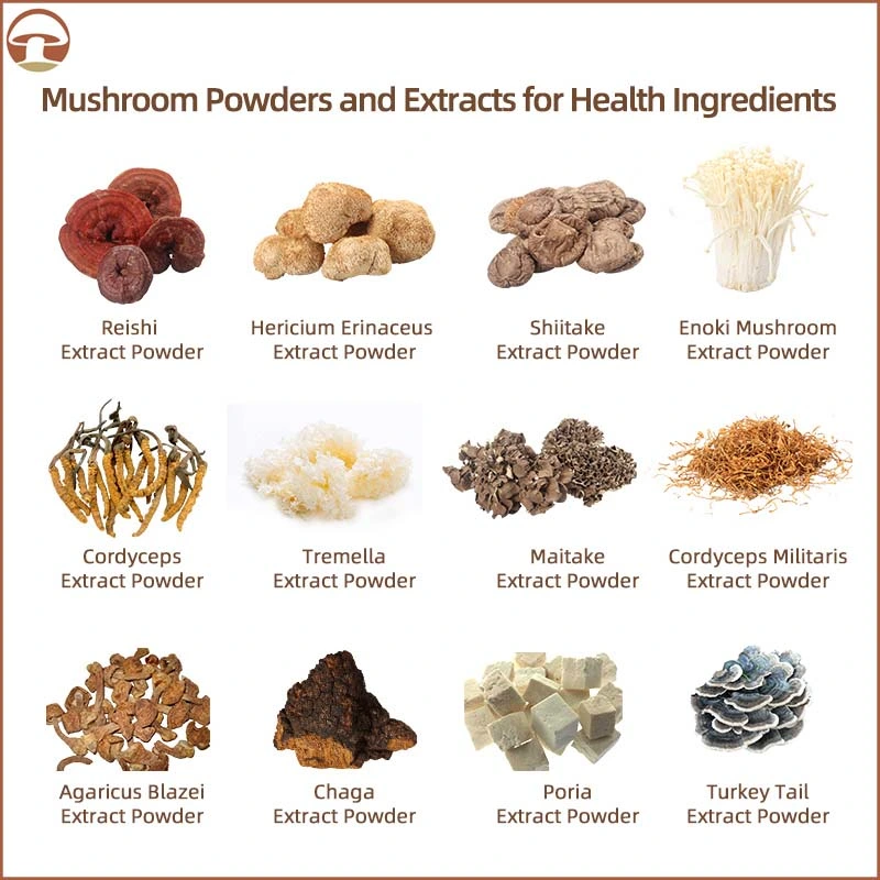 Medicinal Mushroom Extract Ganoderma Lucidum Mushroom Extract Ganoderma Mushroom Reishi Mushroom Extract Reishi Extract Water Soluble