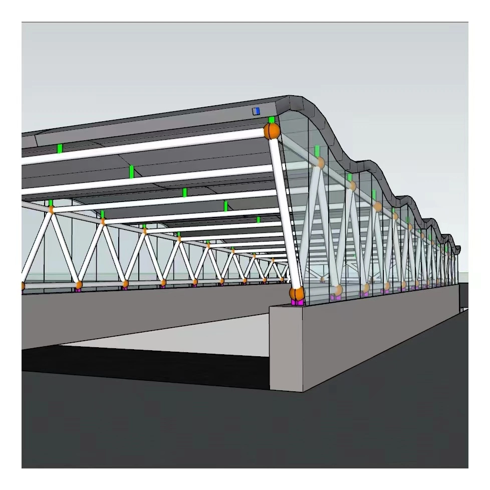 Prefab estructura de acero de diseño personalizado para cobertizo de coche