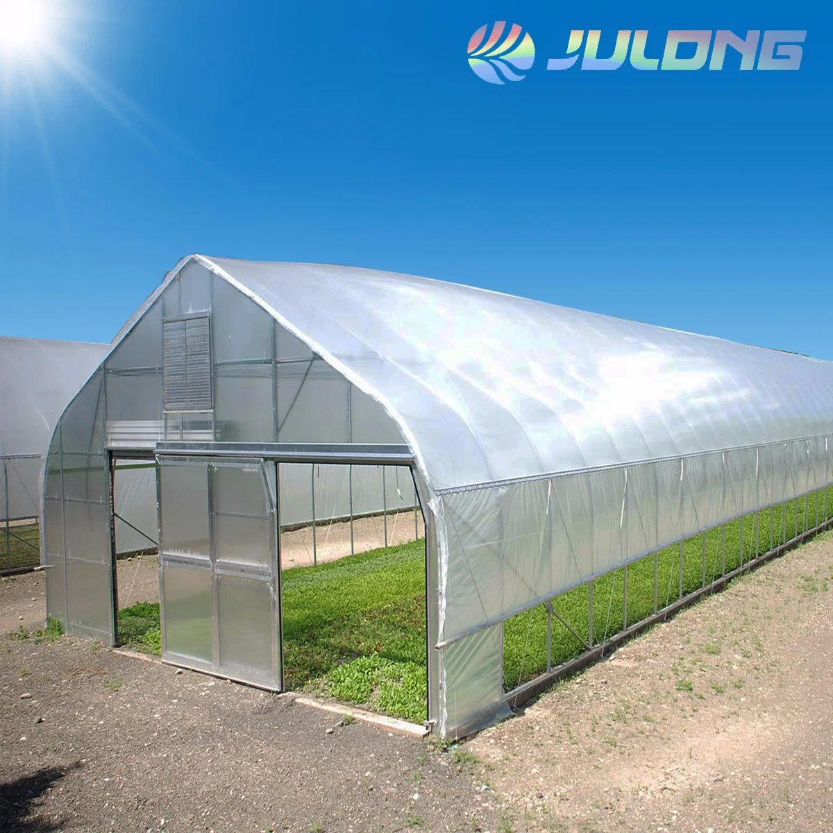 Galvanized Steel Frame Single Span PE Film Greenhouse for Agriculture Low Cost Tunnel Green House