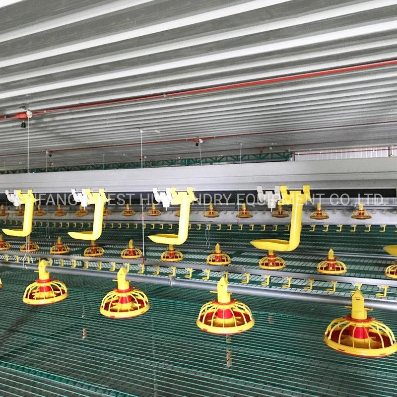 Full Automatic Chicken House Poultry Farm Feeding Equipment for Broiler