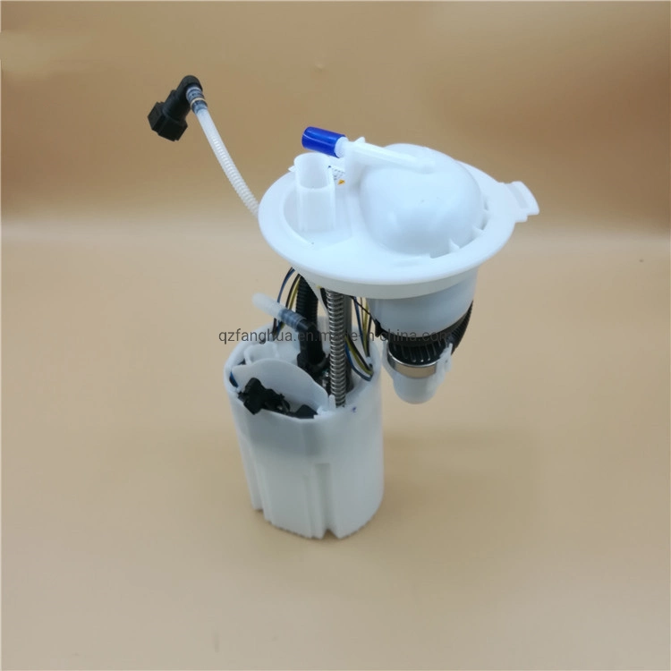 Auto Fuel Pump Assembly/Module for VW BS Passat B5 OEM 3bd 919 051c