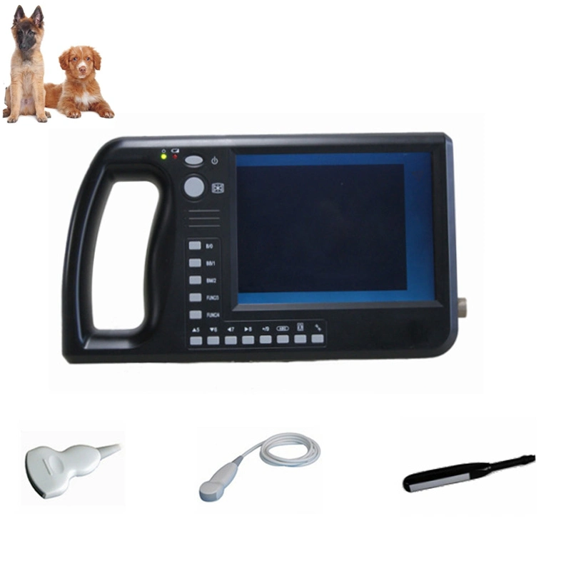 My-A015c Medical Instrument Veterinary Portable Ultrasound