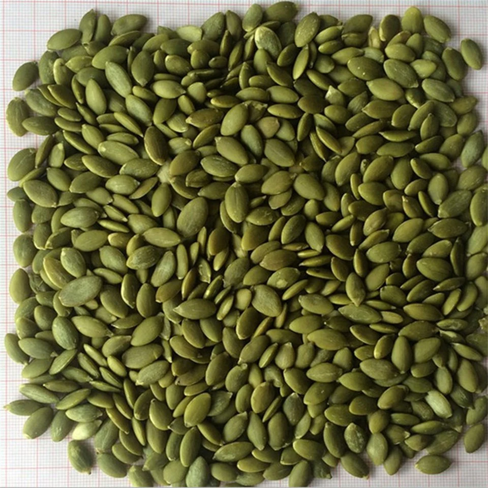 Grau a/grau AA Verde Shine pele Hulled sementes de abóbora orgânicas Kernels (núcleos