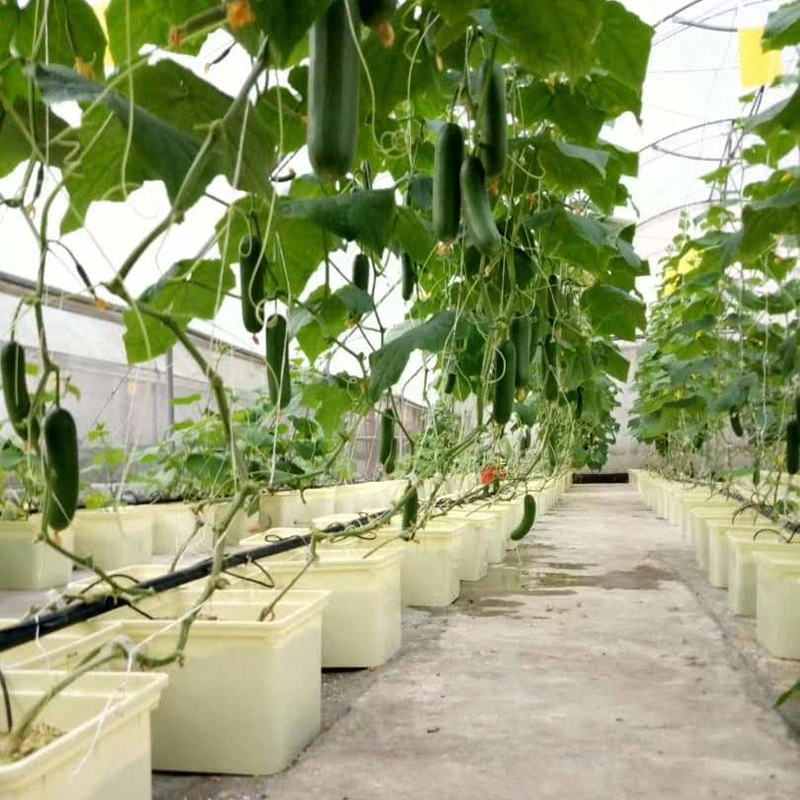 Irrigation Hydroponics Eqiupment Greenhouse System 11L Dutch Bucket for Tomato Cucumber