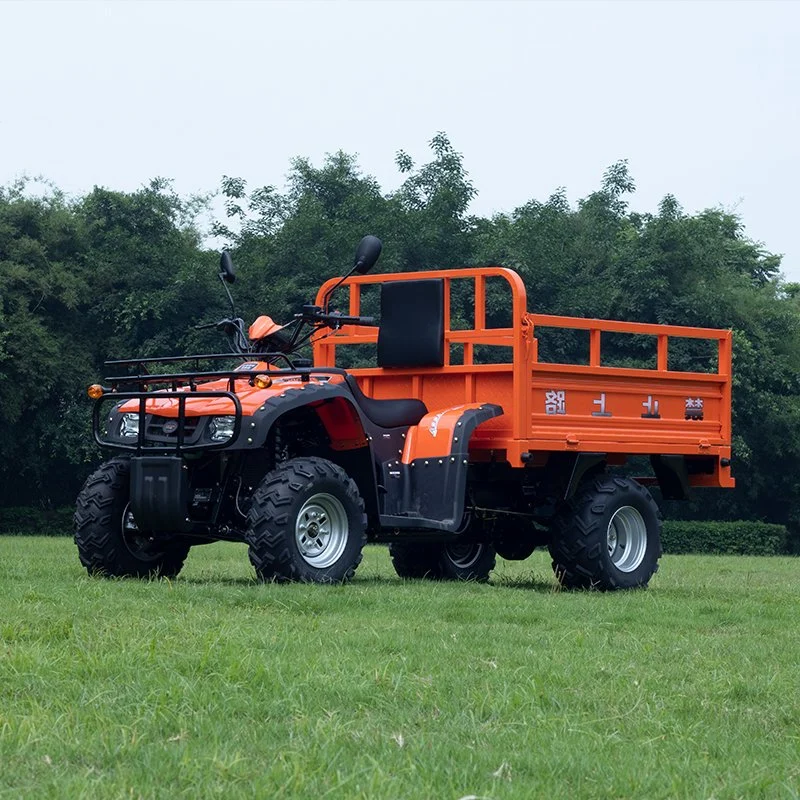 Entraînement par arbre moteur de capacité du réservoir de carburant 9.5L ATV quatre roues 4X2