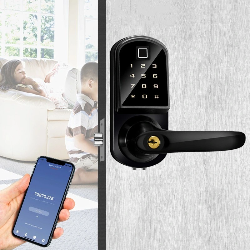 Touch Keypad Wireless Remote Control Bt Door Lock for Office Hotel Apartment Security Tt Lock APP