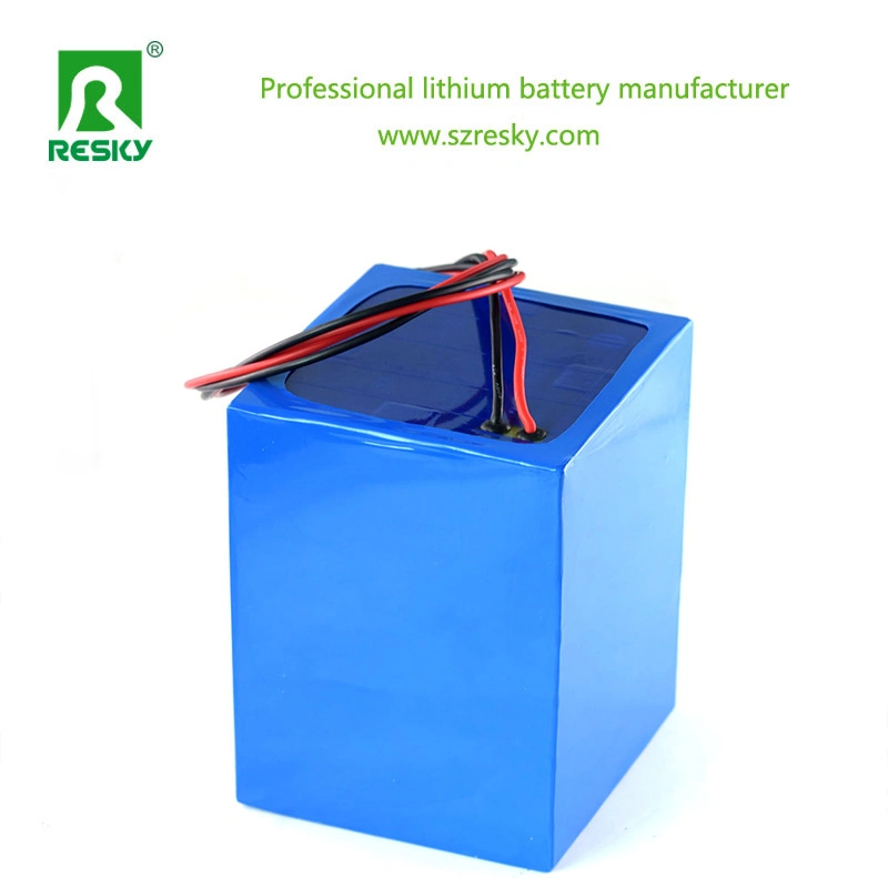 Chargeabl 18650 36 Volt 48 Volt Lithium-Ion Battery for Electric Vehicle