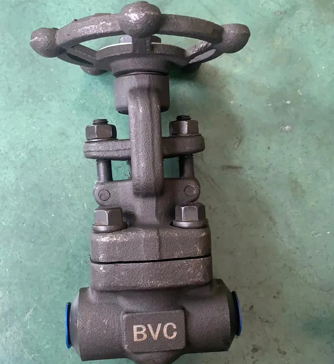 Socket Welded End Forged DN25 A105 Sw Type Forged Cl300 Gate Valve