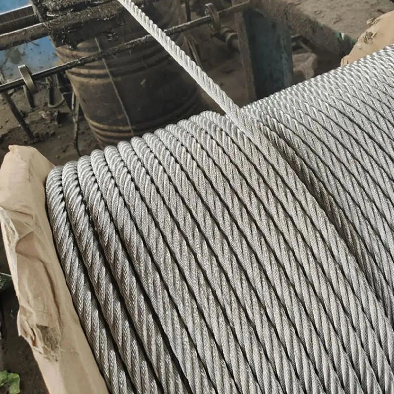 Round Strand Wire Rope 1*7 7*7 1*19 7*19 6*12 6*19 6*37 FC Iwrc Wire Rope Galvanized Wire Rope Elevator Rope Stainless Steel Wire Rope TPU/PVC Wire Rope