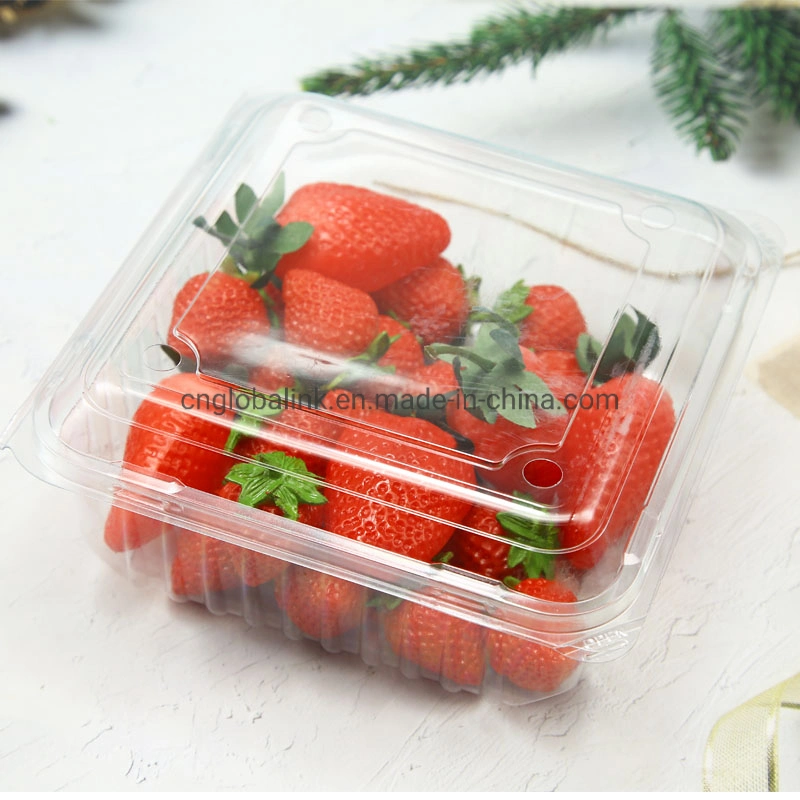 1000g Plastic Vacuum Formed Fruit Packaging