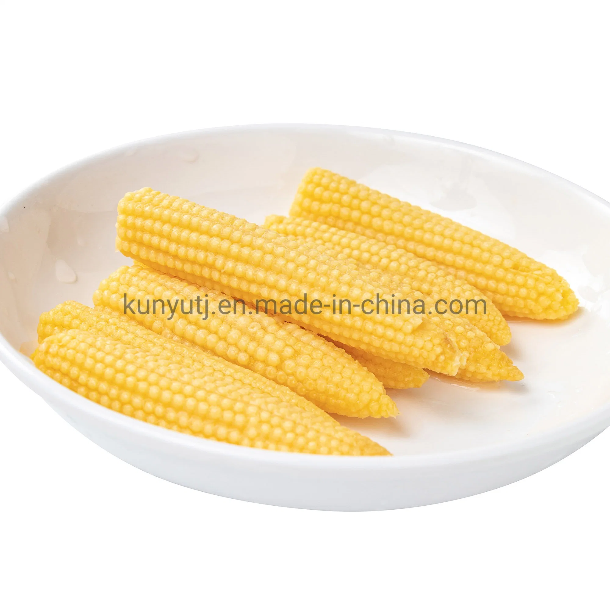 Manufacturer Canned Food Vegetables Bulk Wholesale/Supplier 2840g Canned Baby Corn with Factory Price