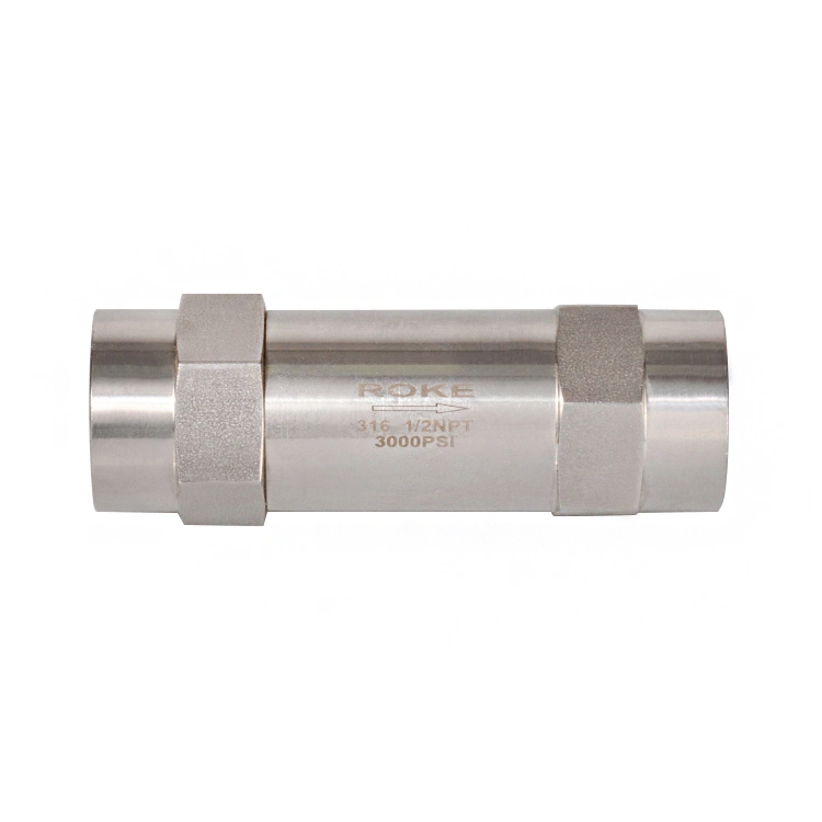 Clapet anti-retour à filetage femelle 316 NPT en acier inoxydable 6000 Psi