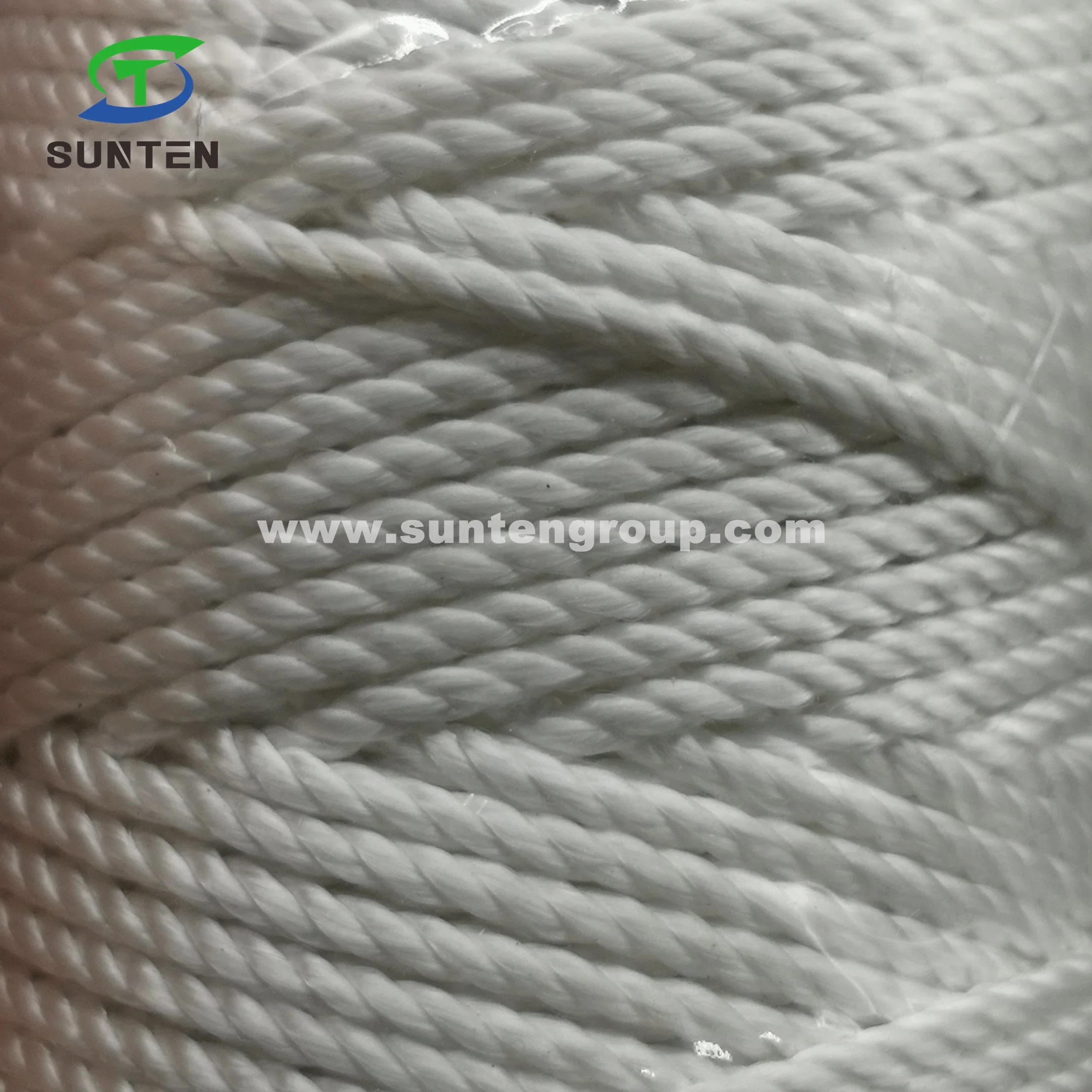 prix d'usine blanc à haute ténacité PE/PP/polyester/nylon/plastique polypropylène tressé Twisted//presse à balles/emballage de thread/Ligne/filet de pêche Thread (210D/380D)