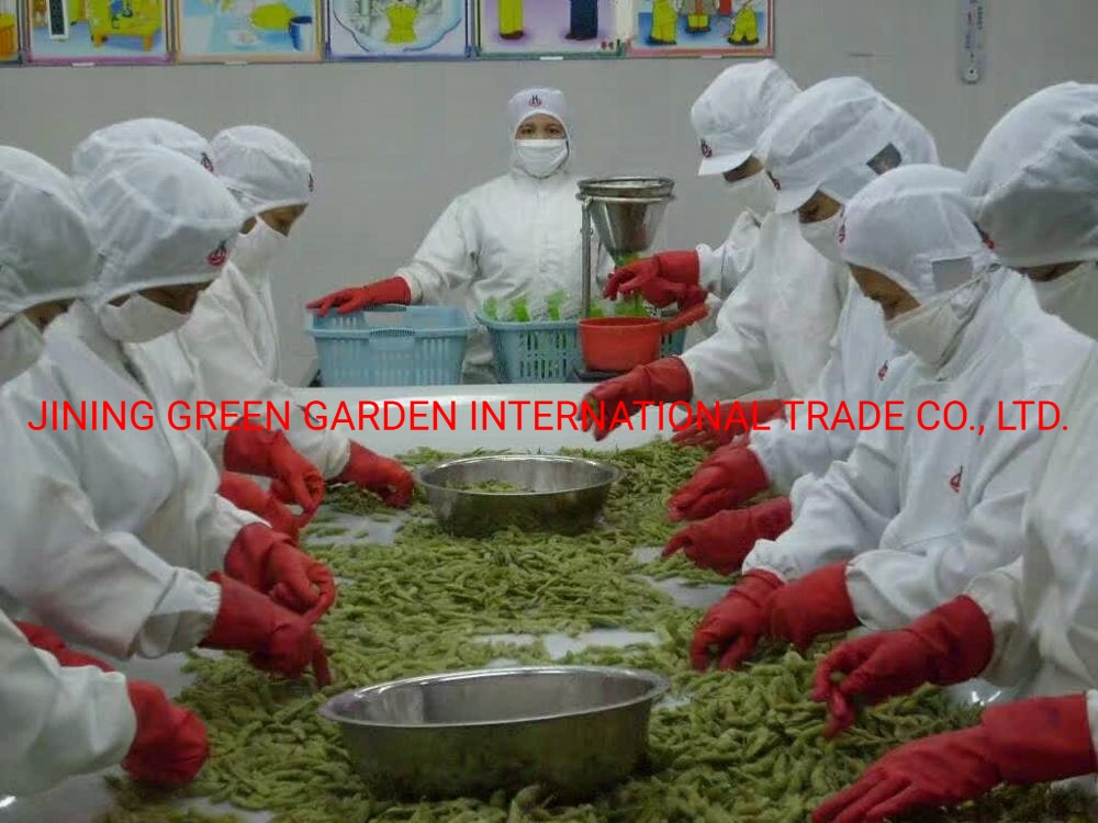 2020 оптовая торговля органическим нового урожая Brc HACCP завода различных замороженных соевые бобы