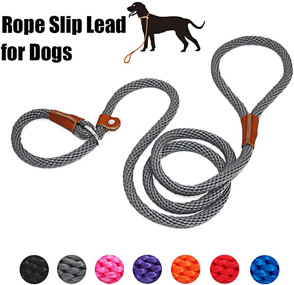 Dog Leash Slip Rope Lead Leash Strong Heavy Duty Braided Rope No Pull Training Lead