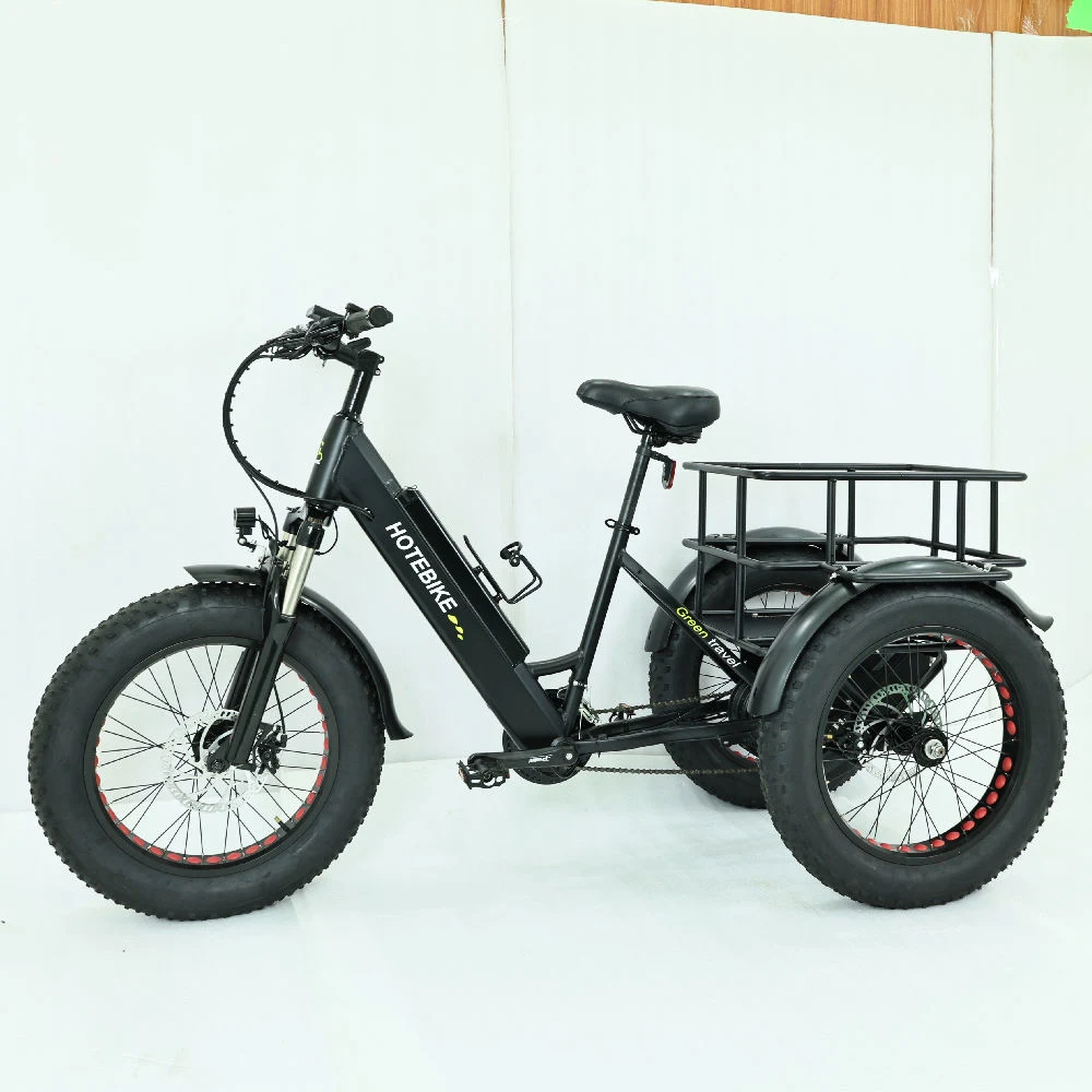 Электрический груза Trike 500Вт мотор 750 Вт 48V 24AH электрического заряда аккумулятора на инвалидных колясках коммерческие поставки