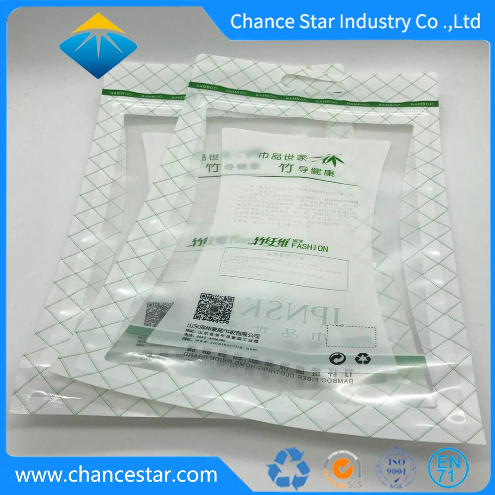 Custom Packing Plastic Zipper Aluminum Foil Garment Bag for Clothes