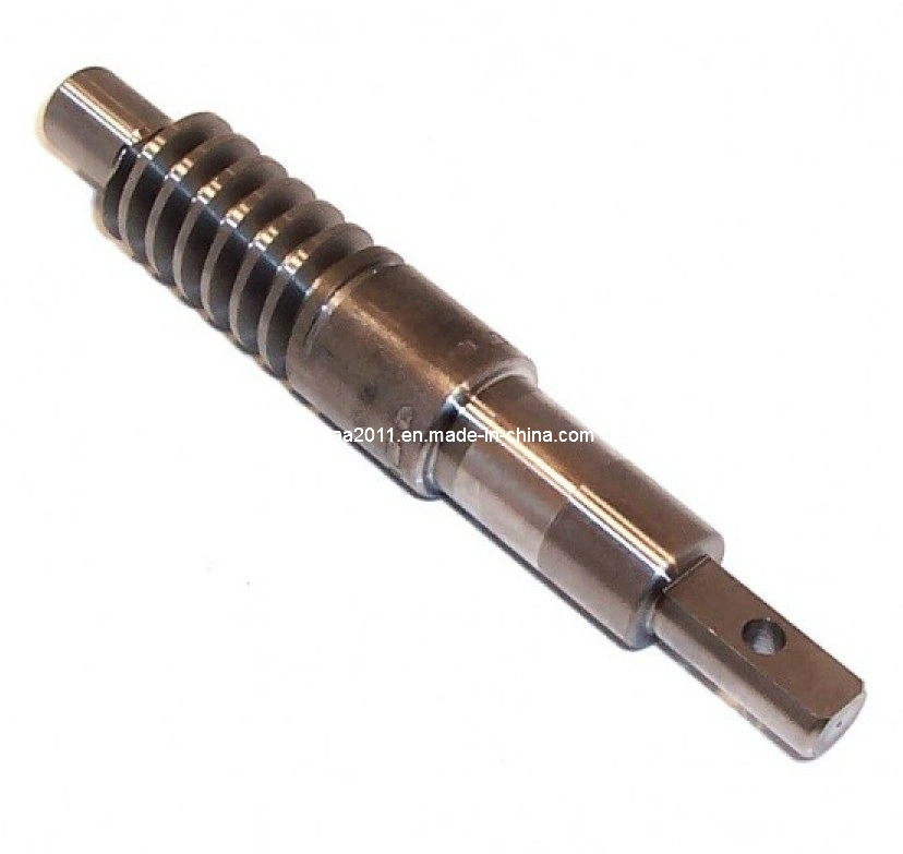 Stainless Steel Long Master Worm Gear Drive Shaft Wheel