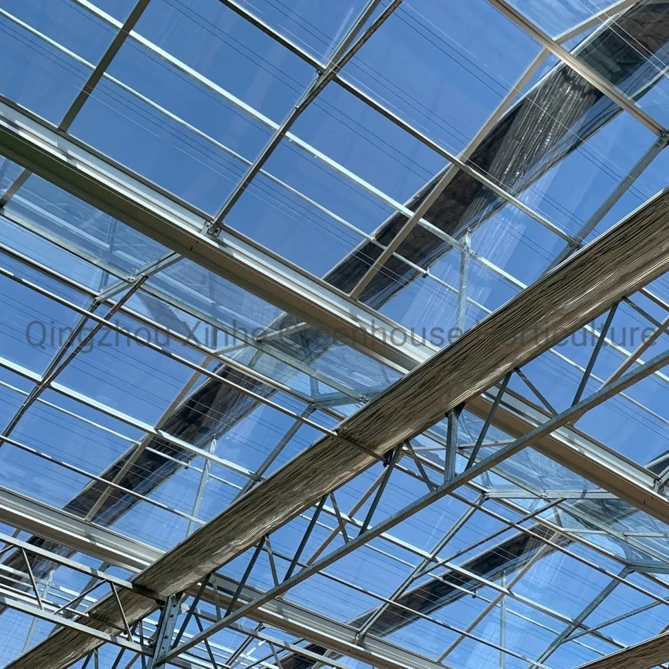 Agricultural Single Span Poly Film Glass Covered Greenhouse for Tomatoes