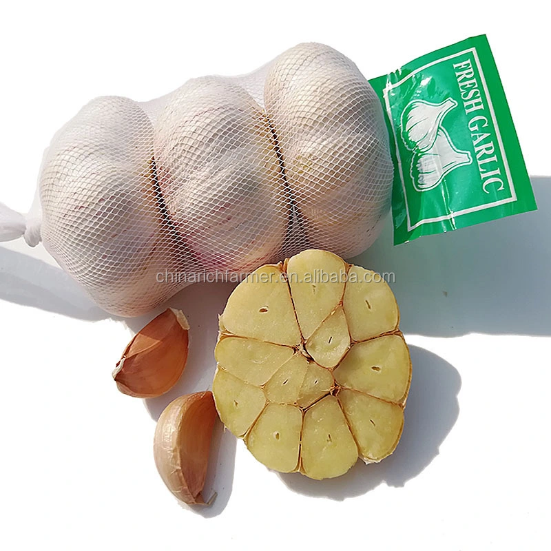 Sinofarm China Fresh Ail Frais Normal/Pure White G1 Red Garlic Seed 10kg Freshchinese Export Low Price with Gap