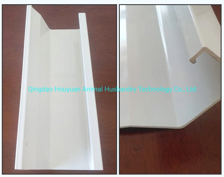 Poultry Equipment Chicken Feeding Trough for Chicken Cage